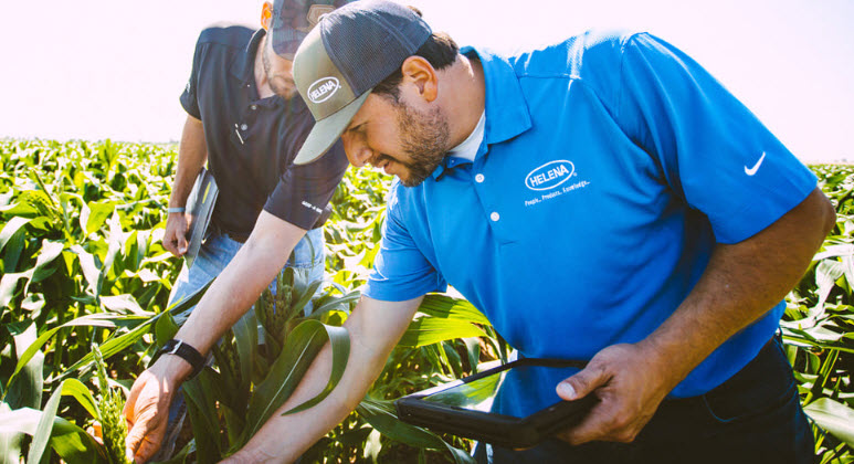 Crop Protection