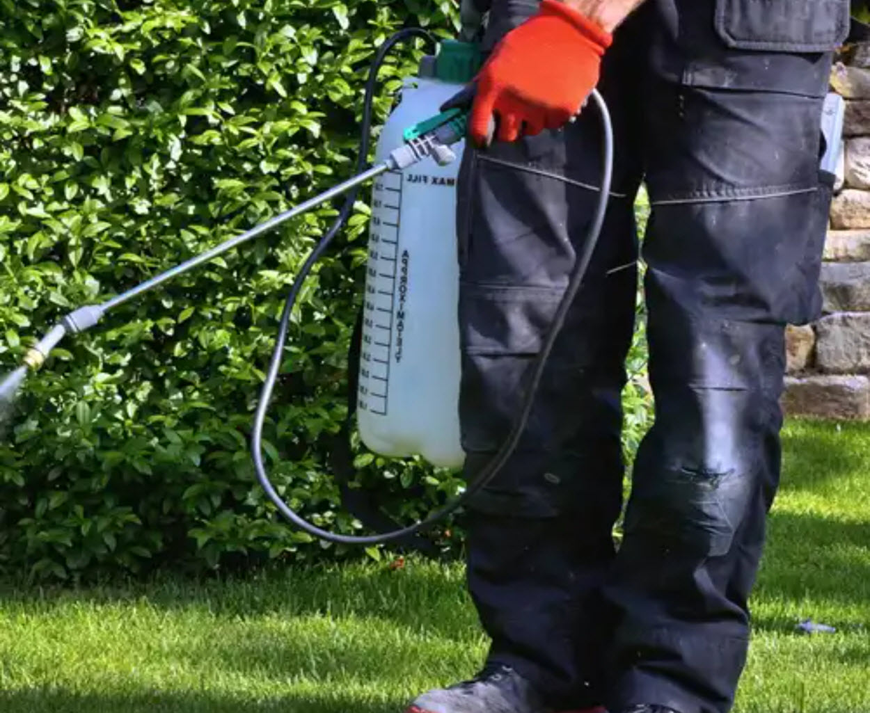 Power Spraying And Pest Control