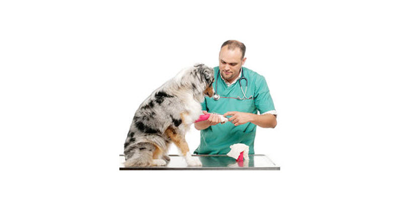 Vaccination