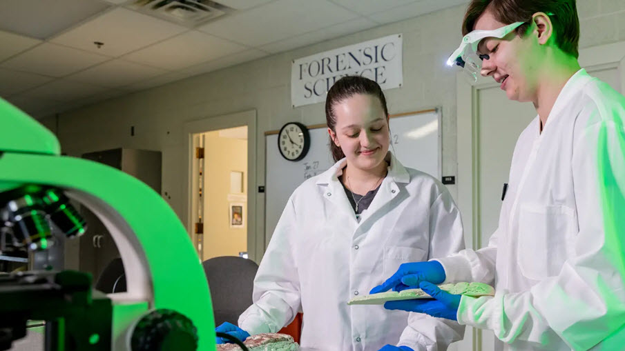 Research and Innovation