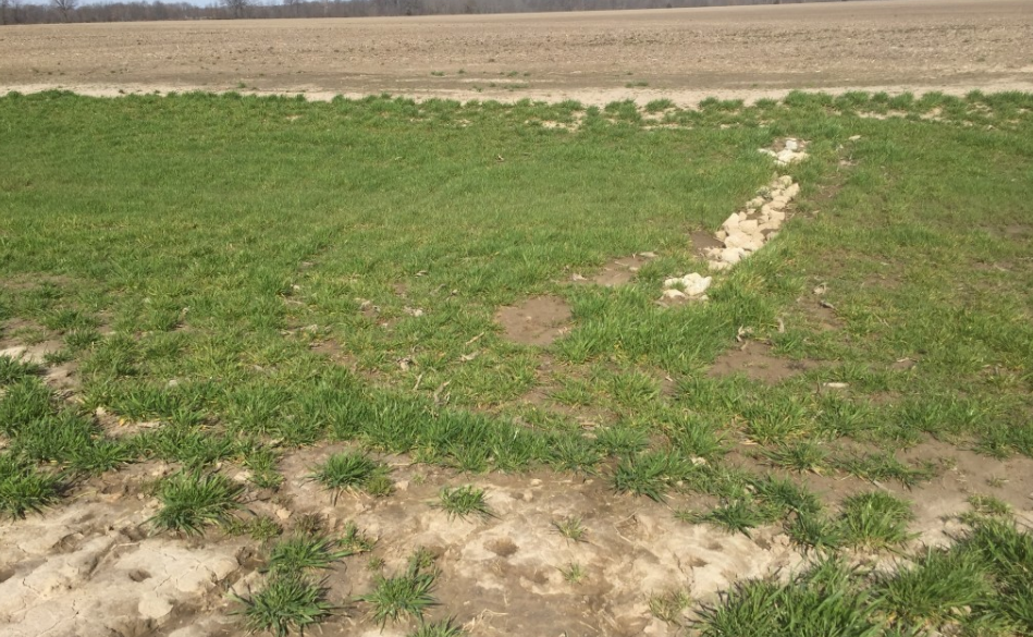 Ditch or Waterway Maintenance or Construction