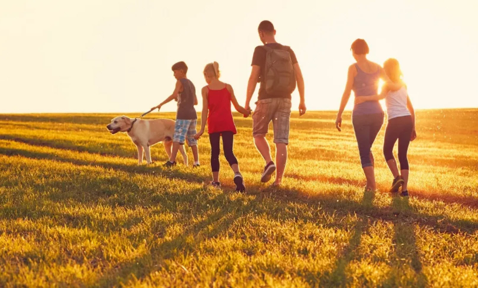 Pet Adoption Incentive Program