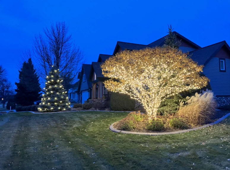 Christmas light installation