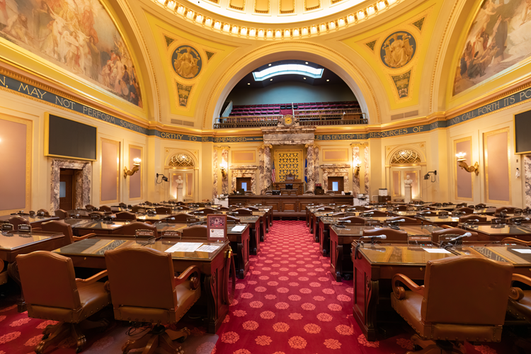 MINNESOTA SENATE