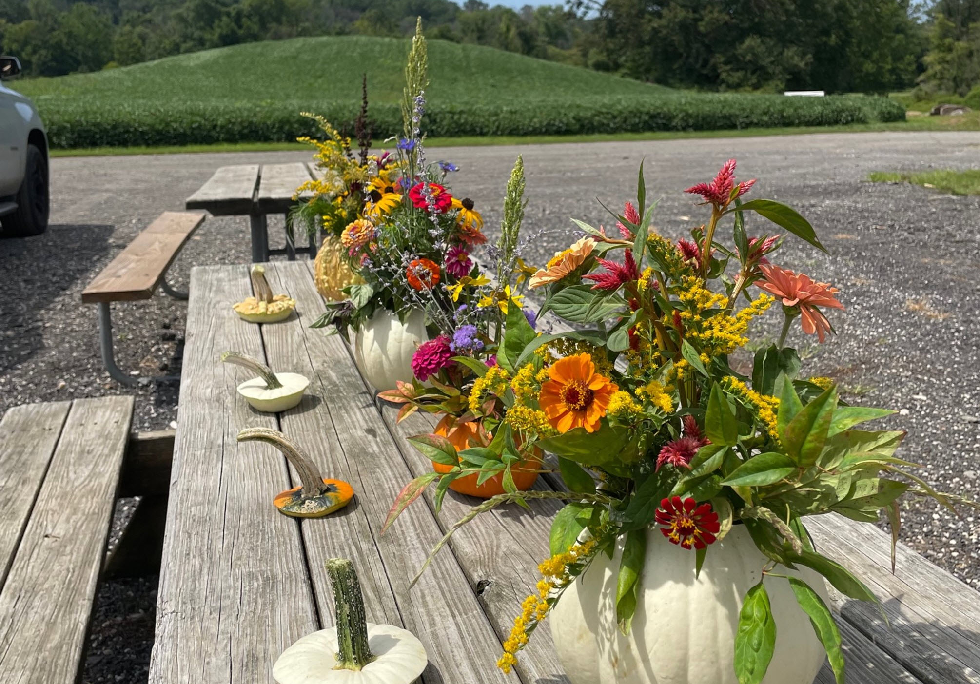 Floral Arrangement Classes