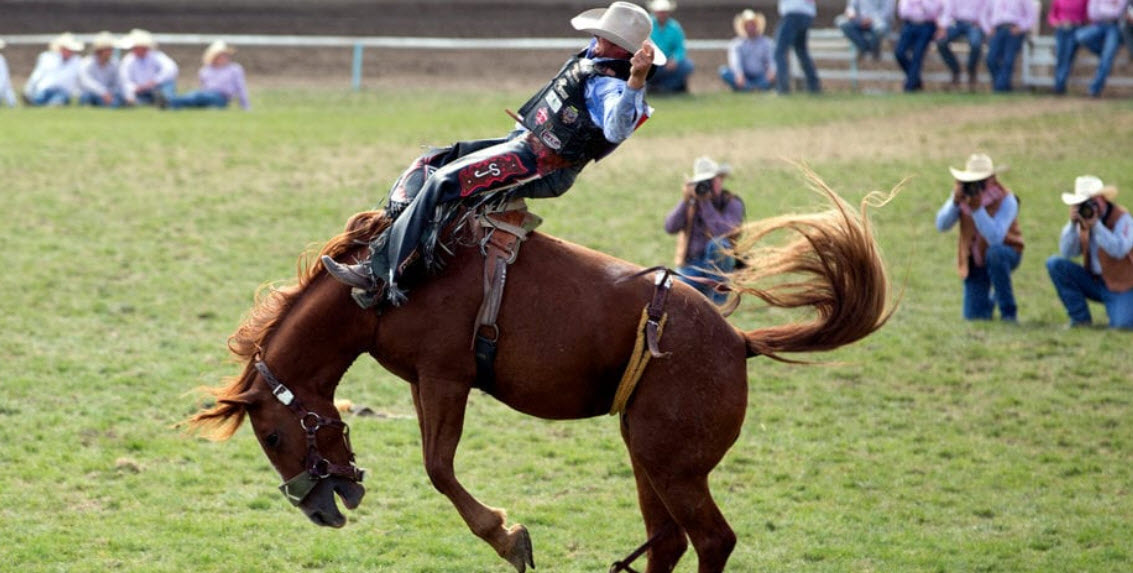 Events & Festivals