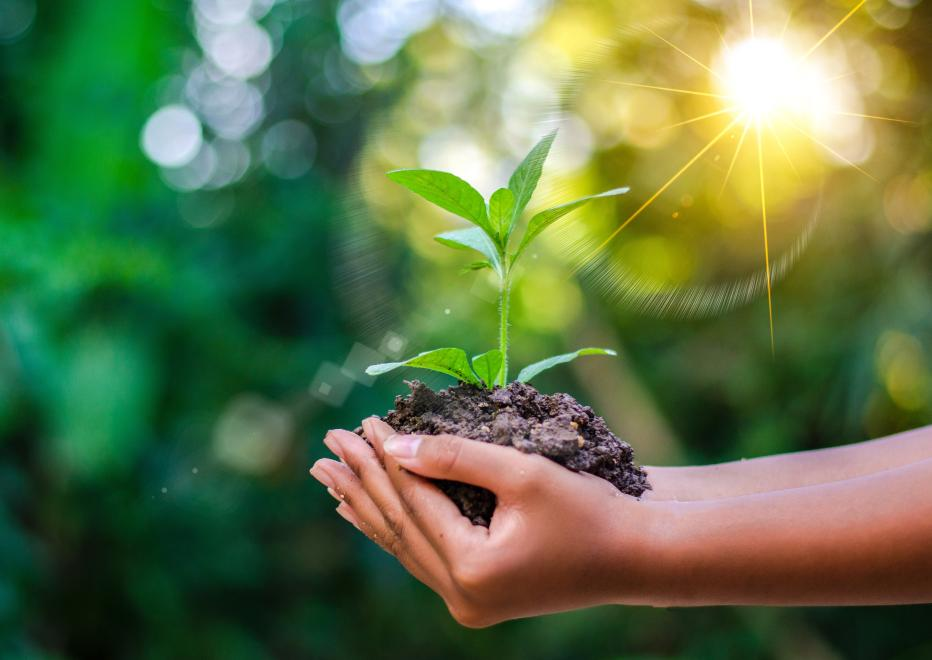 Environmental Services