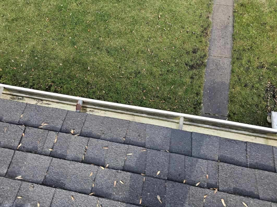 Gutter Cleaning Services