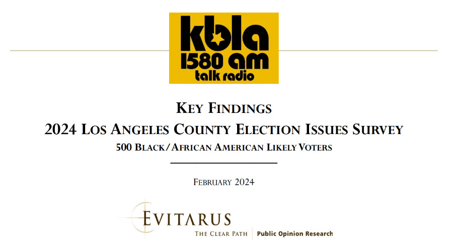 2024 Los Angeles Election Issues Survey