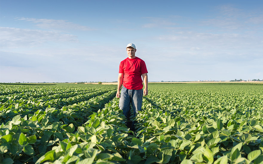 Small Agribusiness Checking