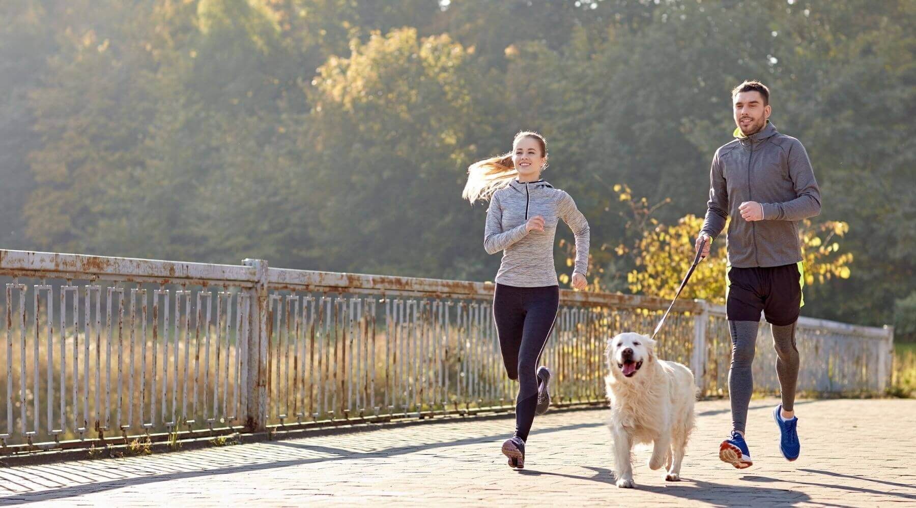 Pelvic Floor Rehabilitation