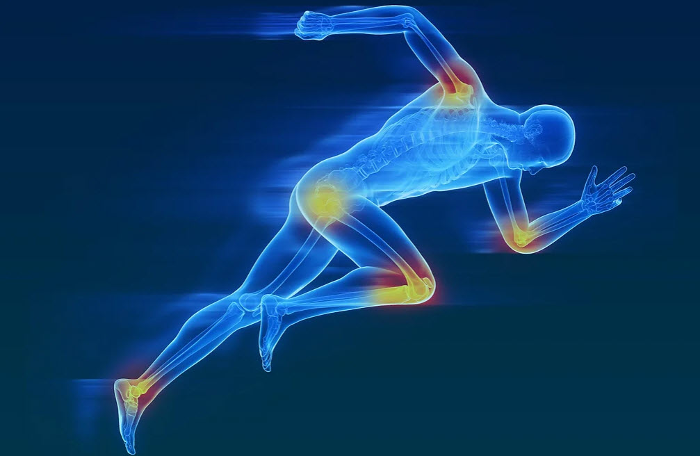 Sports Injury and Performance