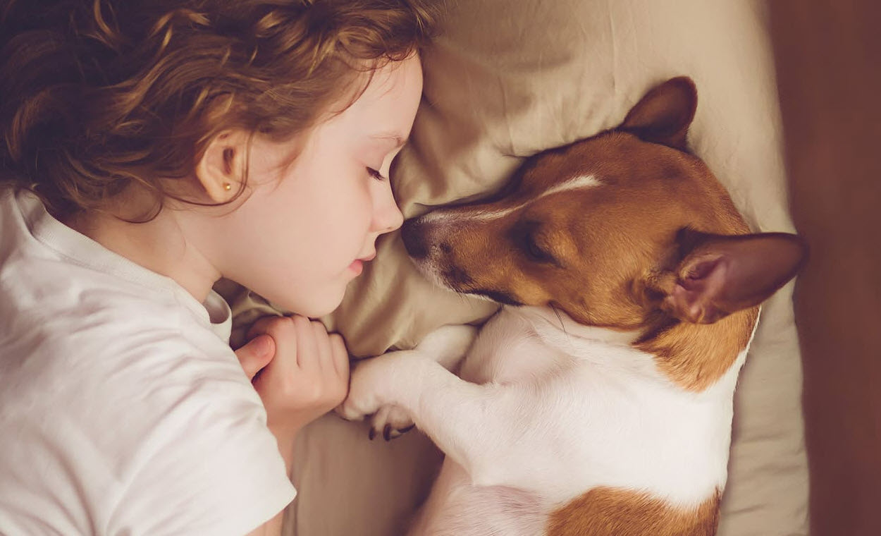 Pet Health Insurance