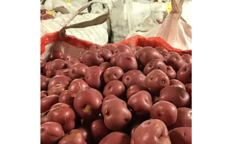 Fresh Potatoes