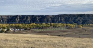 Rural Development
