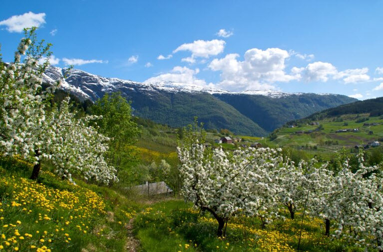 Grand Tour of Norway