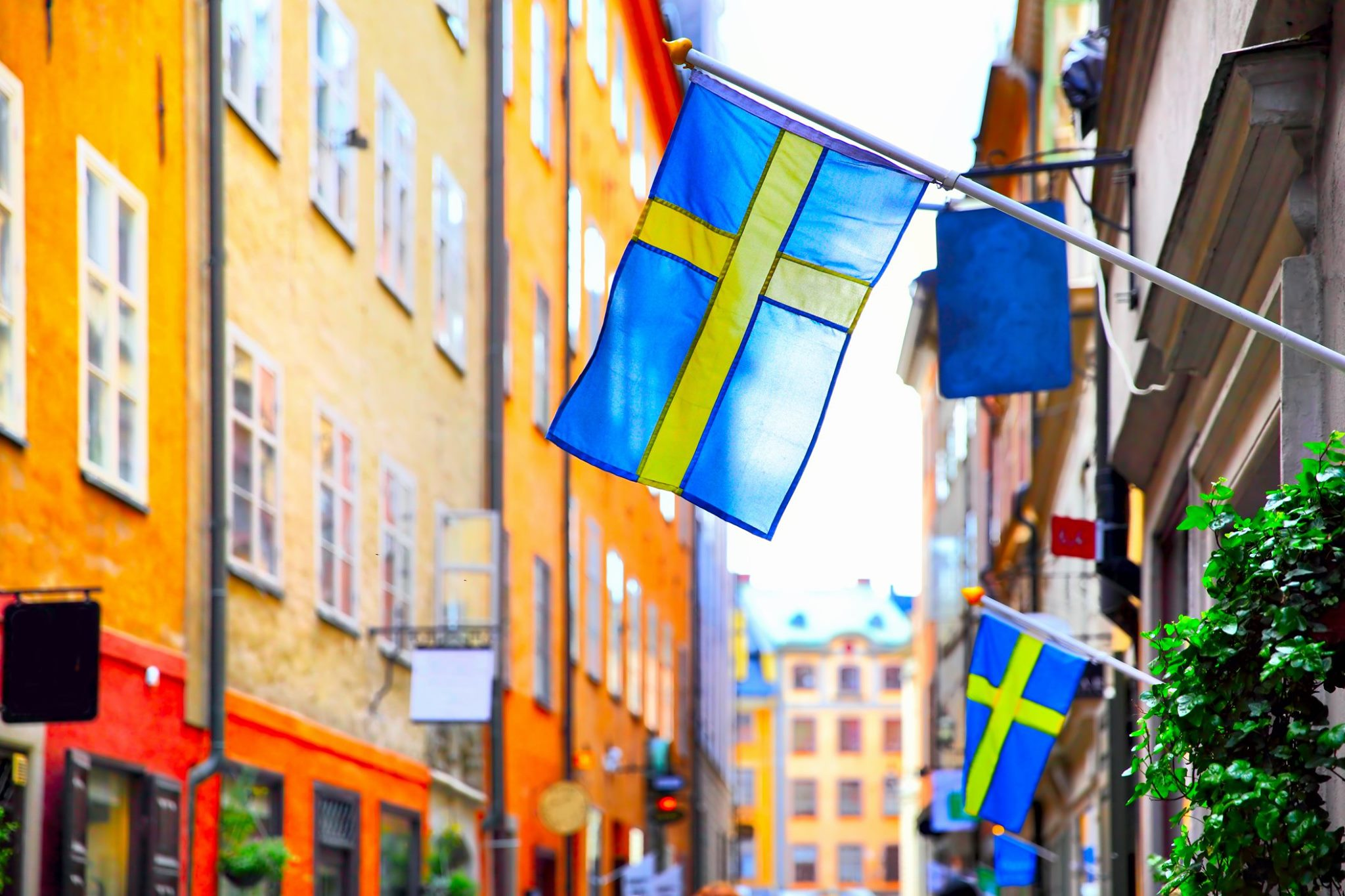 Captivating Scandinavia
