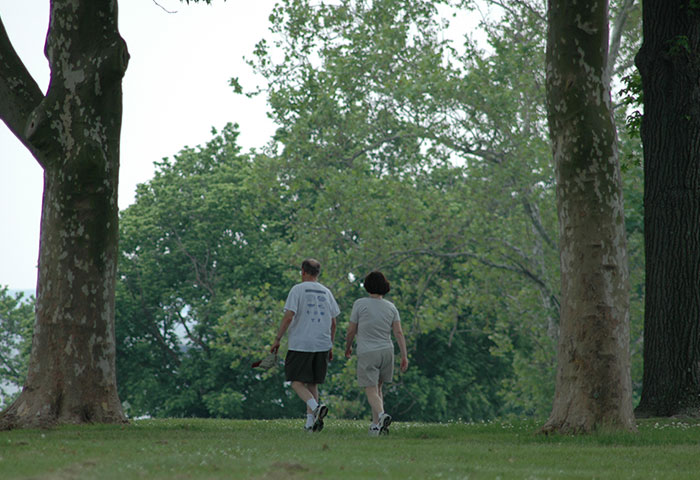 LSHG Trail