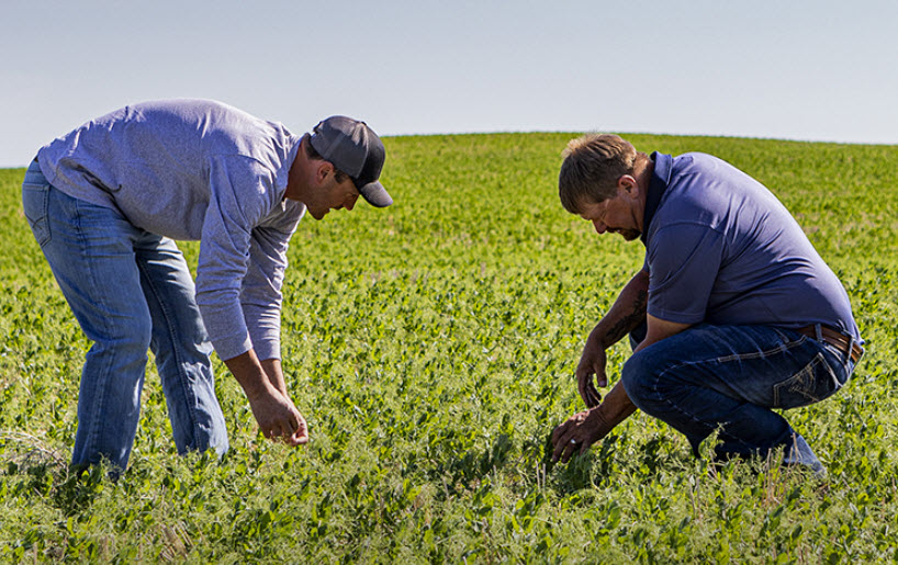 CGI Agronomy 