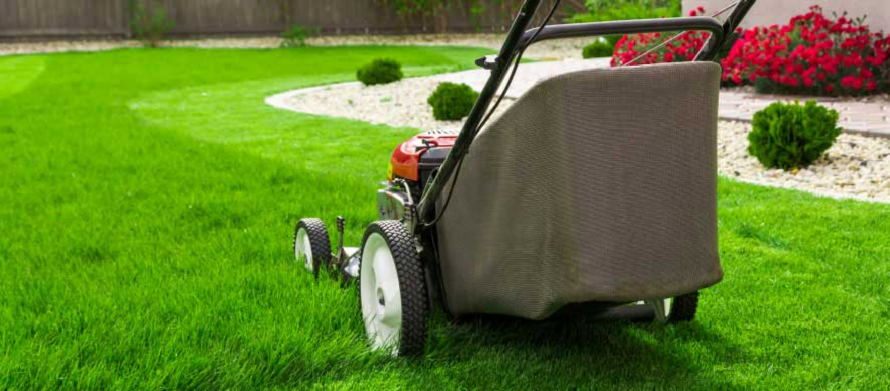 Lawn and Garden