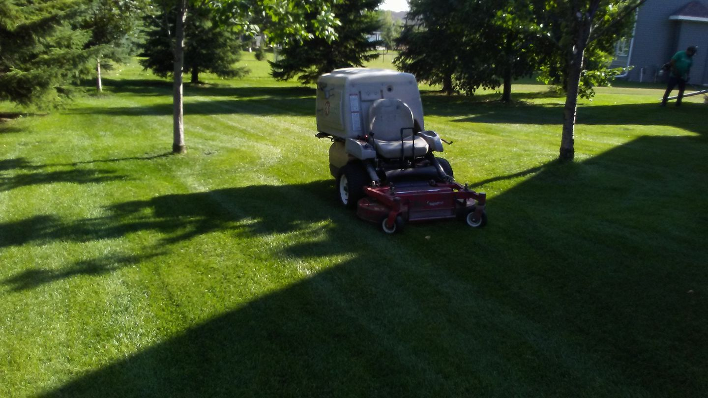 Landscaping and Lawn Services