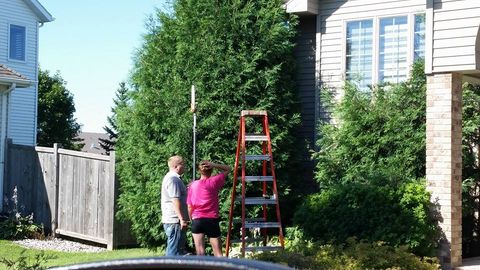 Tree and Shrub Service