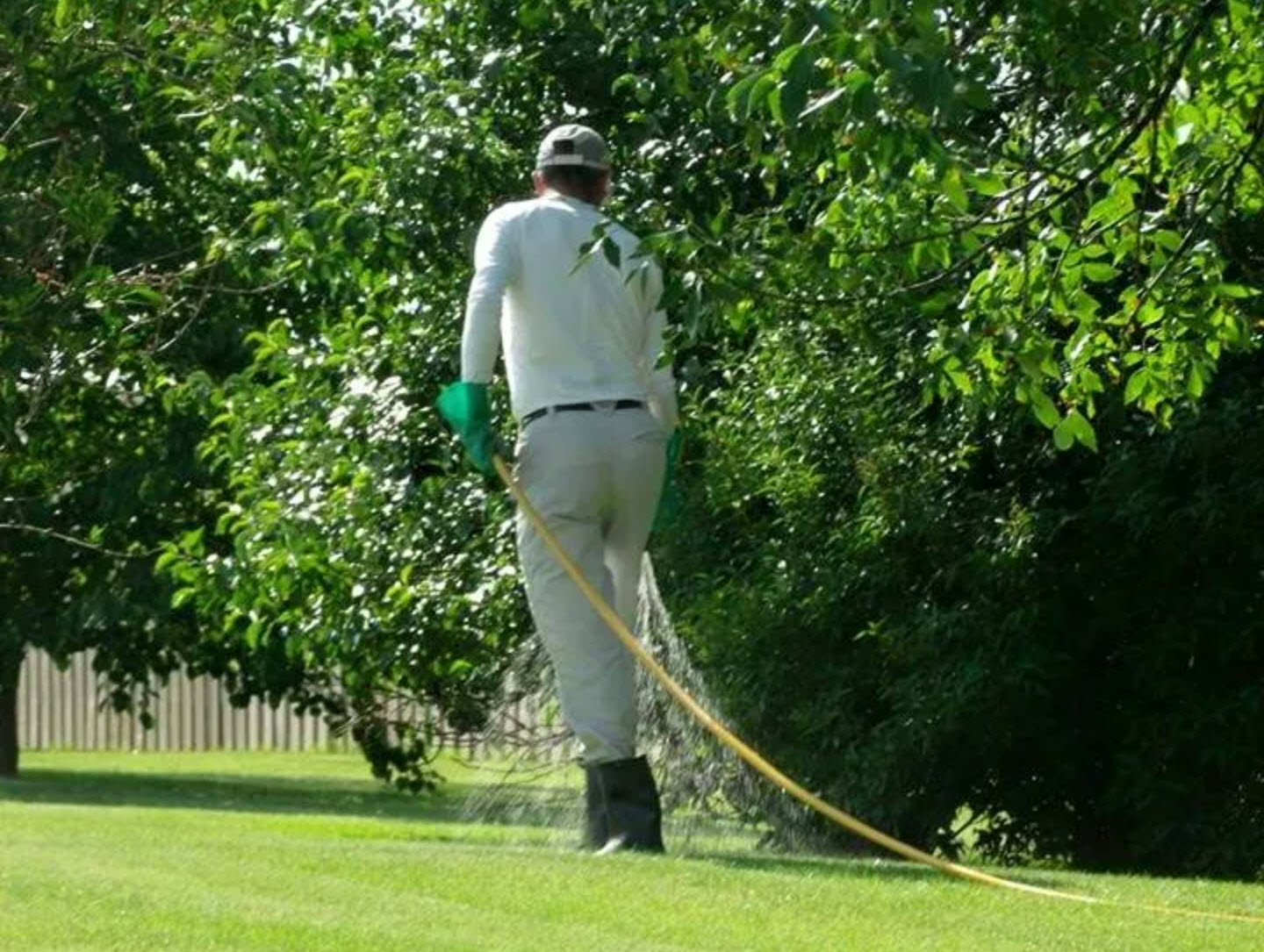 Proper Watering