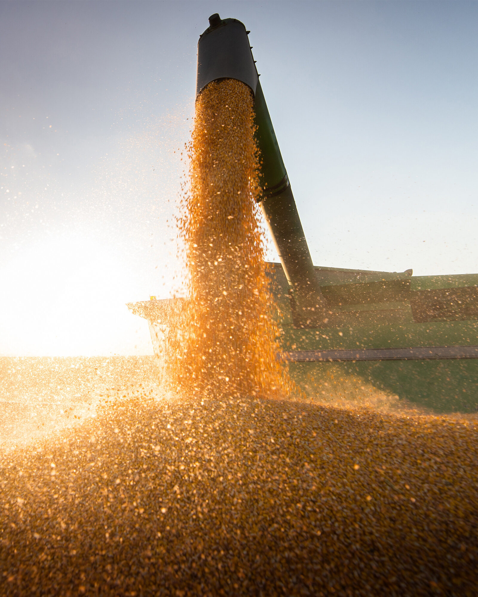 Grain Marketing Services