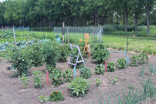 Community Gardens