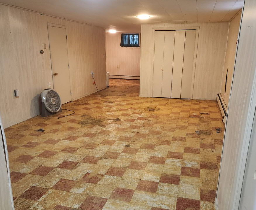 Flloor and Carpet Removal