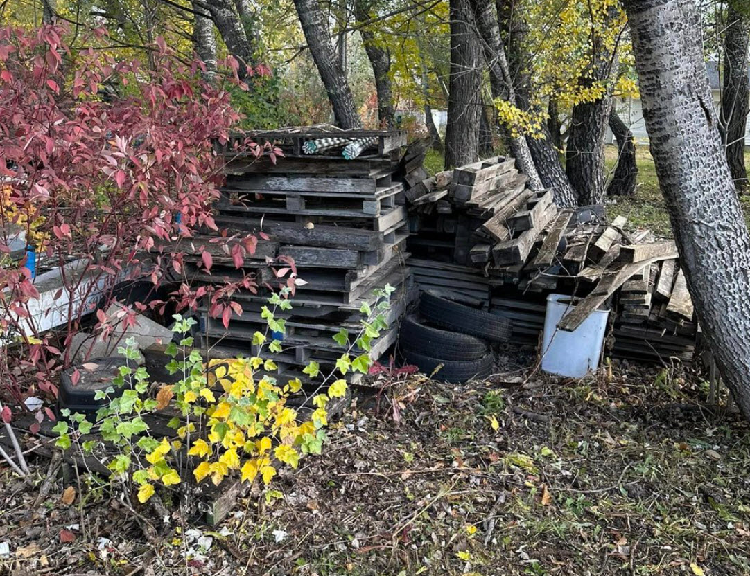 Trash and Yard Debris Removal