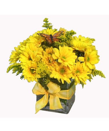 Summer Flowers