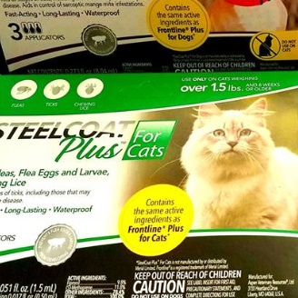 Steelcoat for Cats