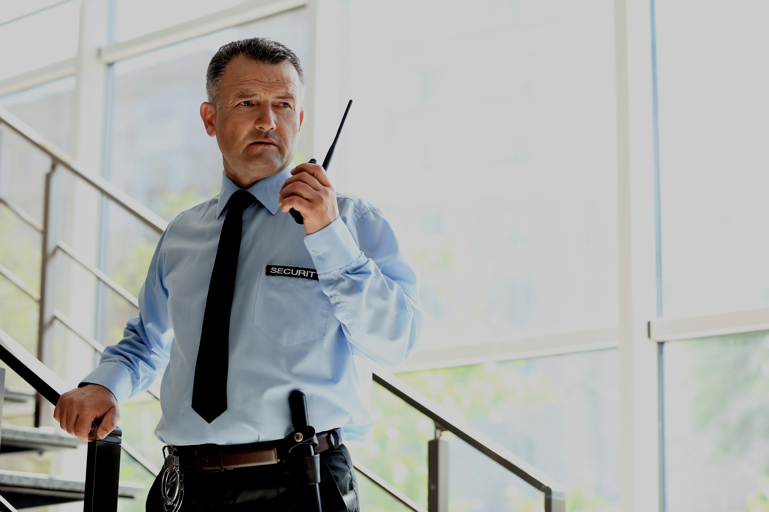Professional Services 
