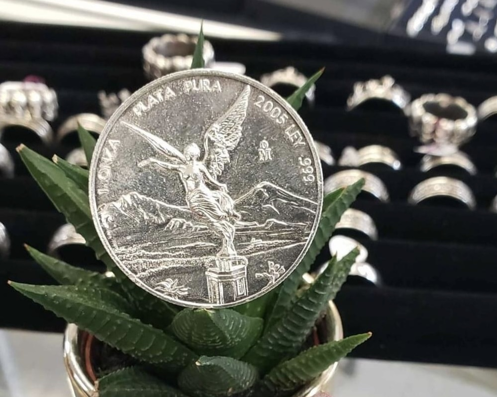 Silver Coin