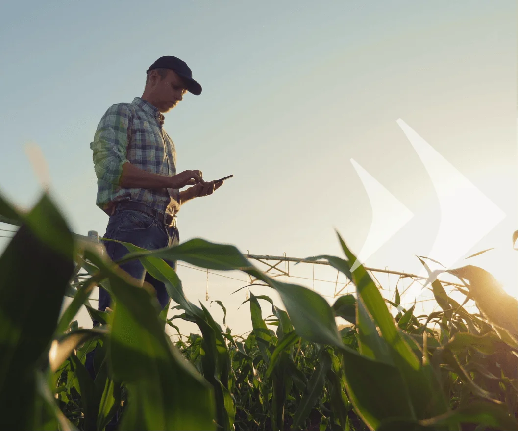 Agriculture Insurance