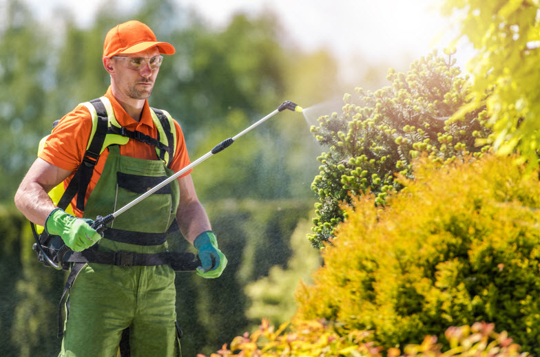 Seasonal Clean-Up