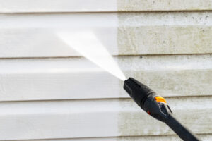 Professional Power Washing Services