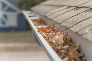 Professional Gutter Cleaning Services