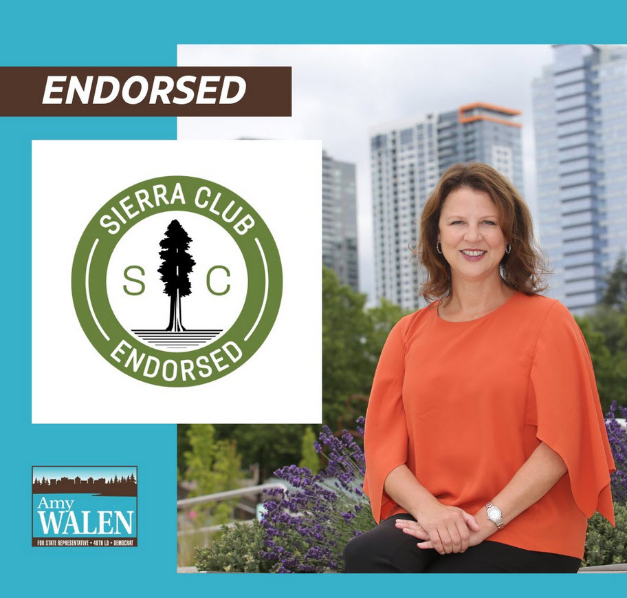 Endorse Amy 