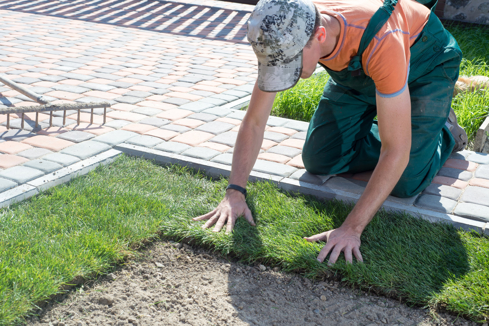 Artificial Turf