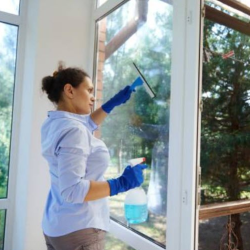 Window Cleaning