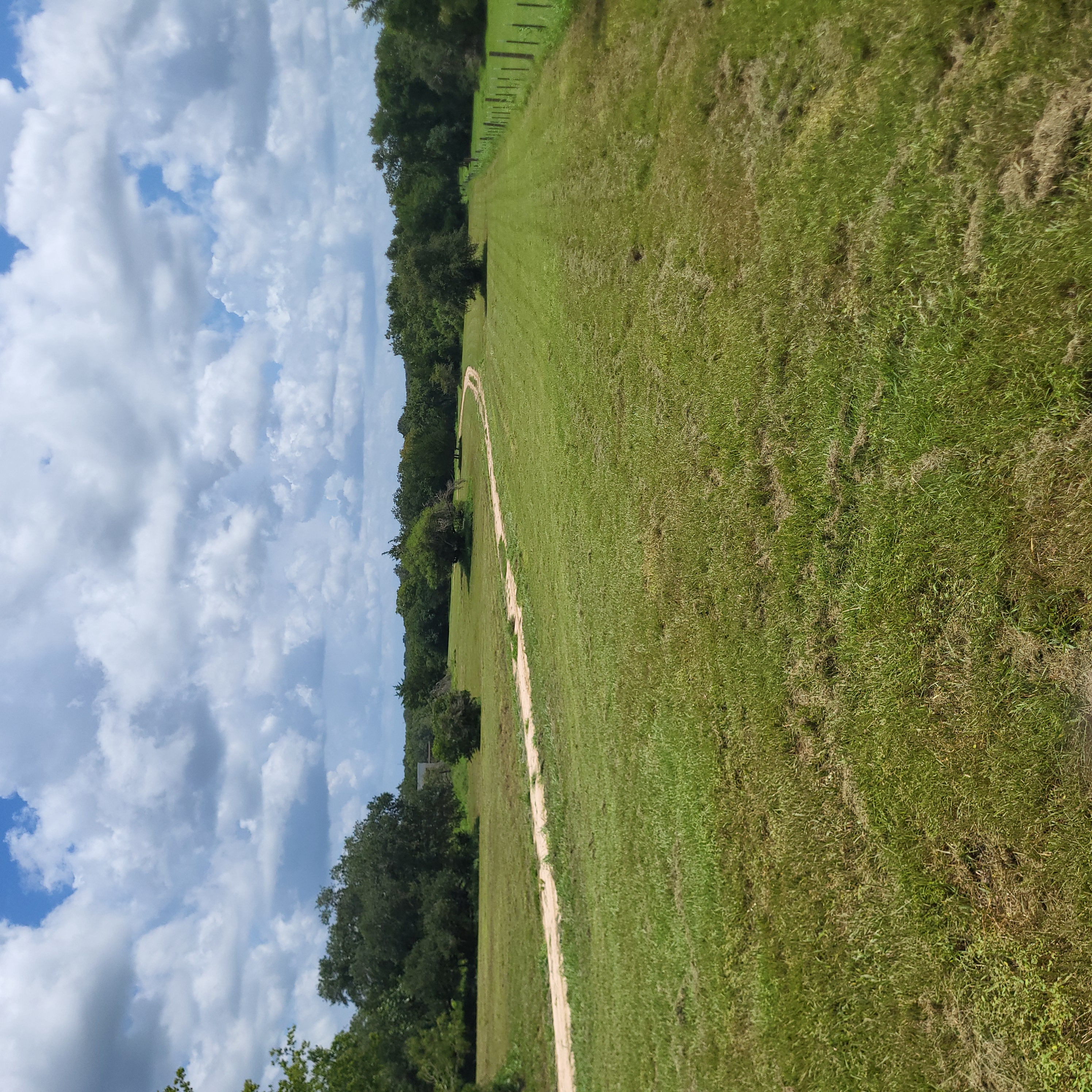 Tractor mowing