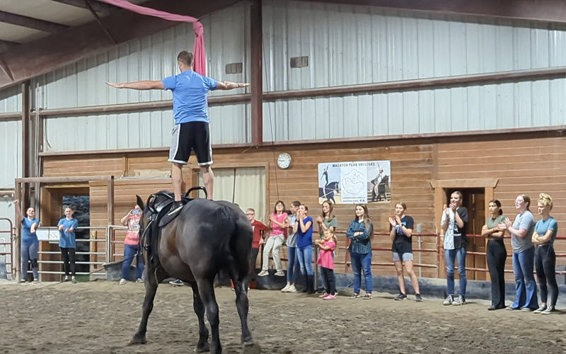 Introductory Vaulting Classes