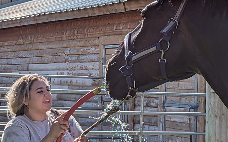 Horse Care & Management Workshops