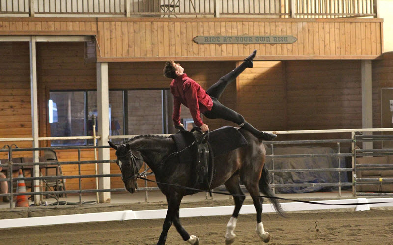 Vaulting Demonstrations & Performances