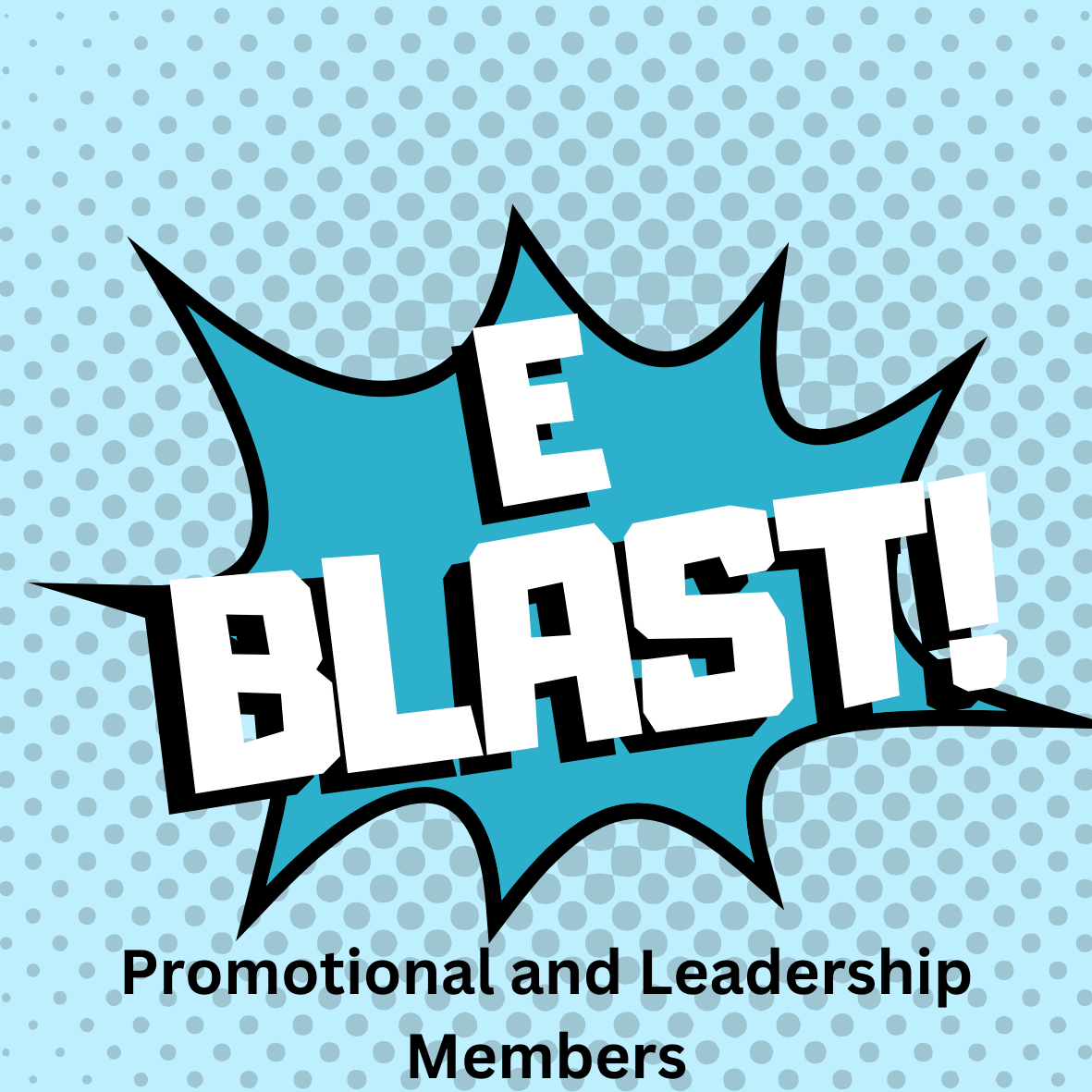 E-blast (Stand Alone) 25% Discount offered to Promotional Members