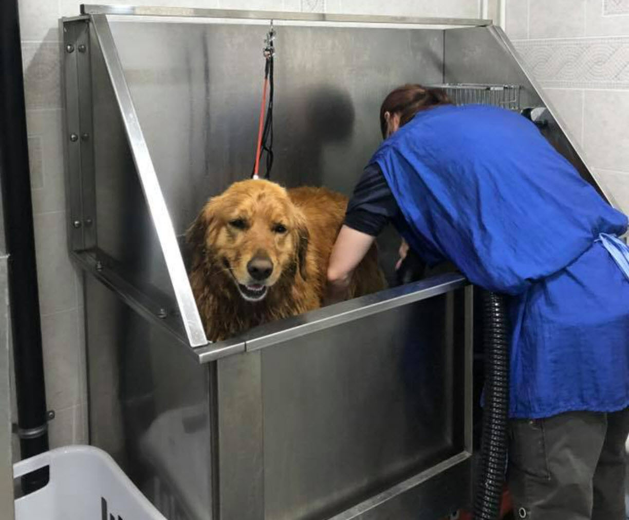 Bathing