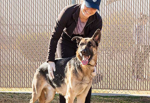 Dog Trainer