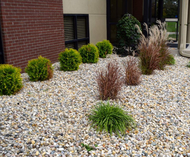 Landscape Design